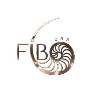 FIBO-car